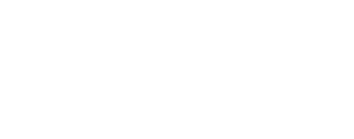 PIC Consultants – Accompagnement